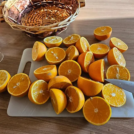 Szálloda Bohemia Berlin